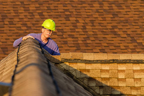 Best Roof Restoration Services  in Blue Mountain, MS